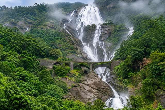 Goa Waterfalls & Plantation Discovery travel experience