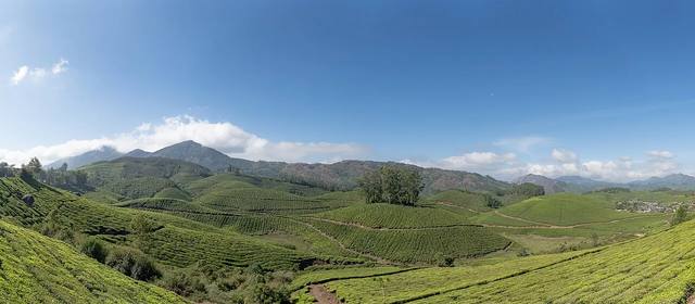 Classic Kerala - Hills, Wildlife & Backwaters travel experience