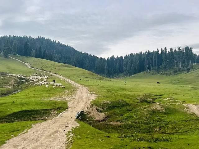 Kashmir Premium Multi-Stay Retreat travel experience