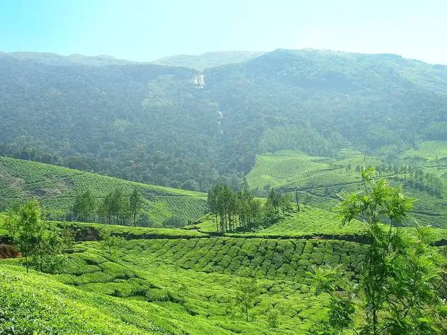 Munnar Tea Hills Weekend travel experience