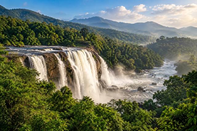 Wayanad Forest & Heritage Weekend travel experience