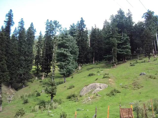 Kashmir Valley Highlights travel experience