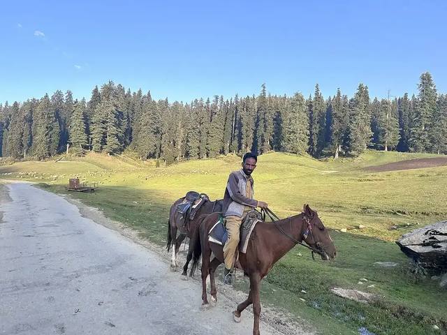 Gulmarg Winter Leisure & Srinagar Stay travel experience