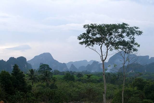 Phuket & Krabi Island Escape travel experience