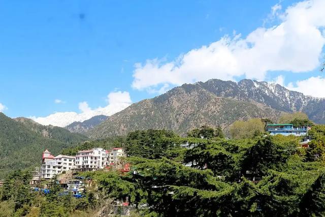 Dharamshala and McLeod Ganj | 4N/5D | Private travel experience