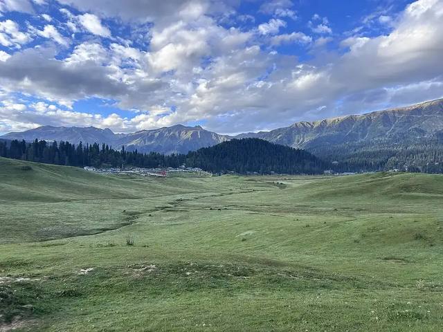 Grand Kashmir - Sonamarg, Gulmarg & Pahalgam travel experience