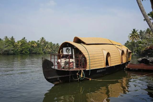 Kerala Hills & Backwaters travel experience