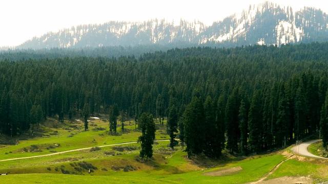 Doodhpathri & Yusmarg Meadow Trail travel experience