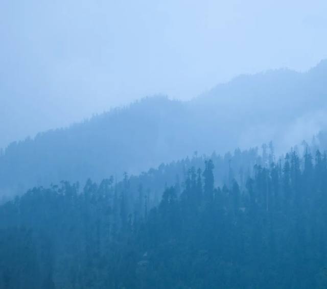Himachal and Amritsar Grand Circuit | 9N/10D | Private travel experience