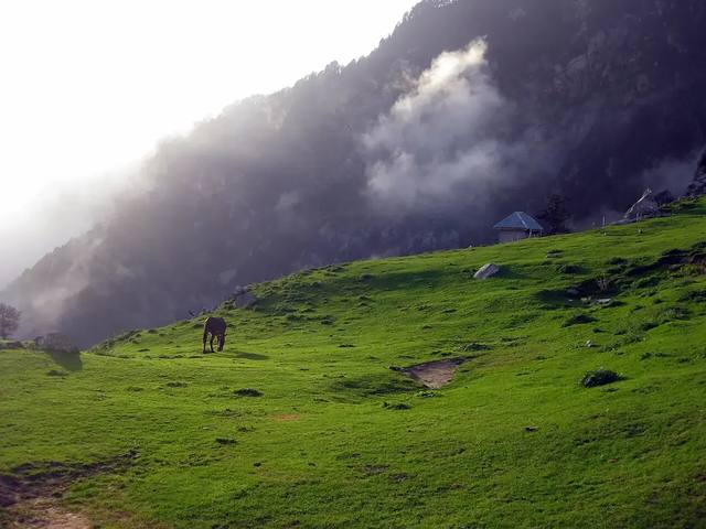 Dharamshala and Dalhousie | 5N/6D | Private travel experience