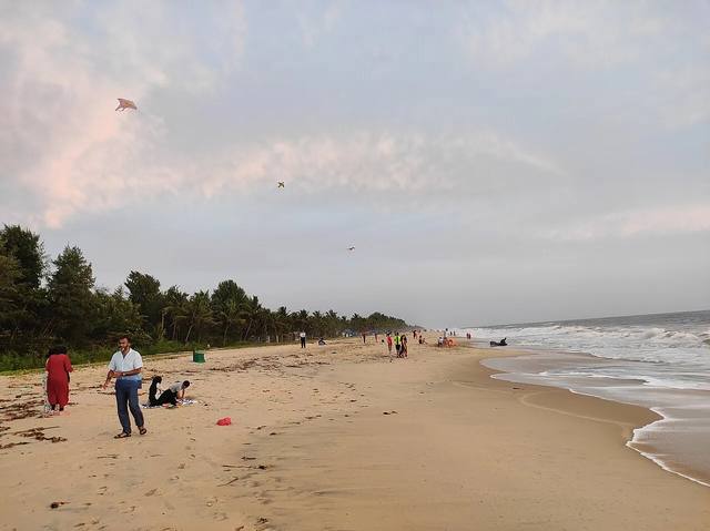 Kerala Premium Villas & Marari Coast travel experience