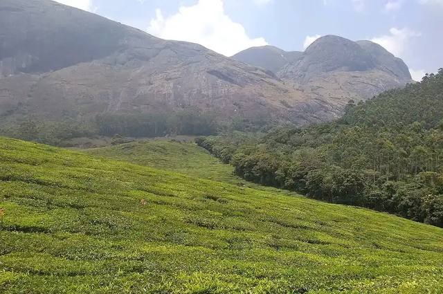 Munnar & Kumarakom Couple Retreat travel experience