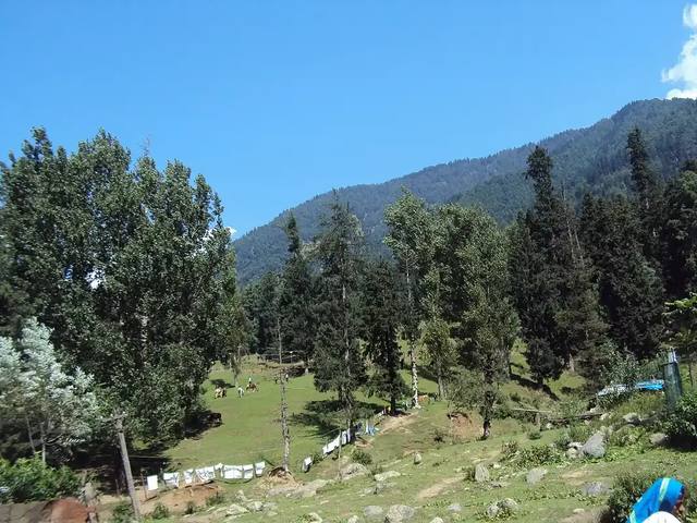 Kashmir Gentle-Pace Family & Seniors Holiday travel experience