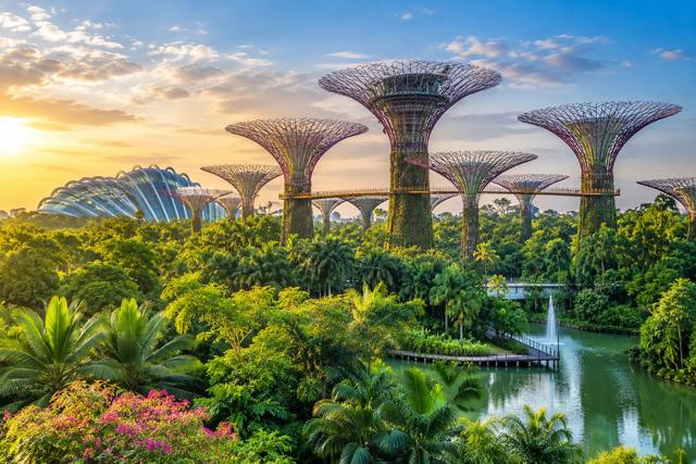 Singapore Family Discovery travel experience