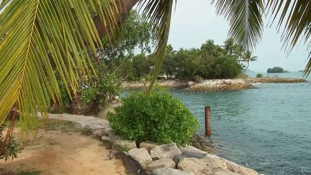 Singapore City & Sentosa Escape travel experience