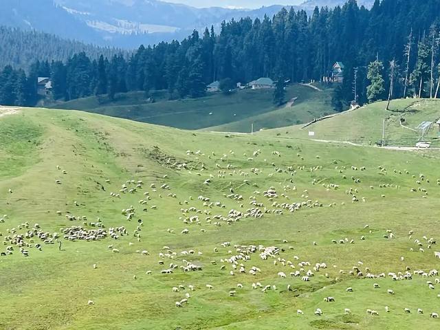 Katra & Kashmir Pilgrimage-Valley Journey travel experience