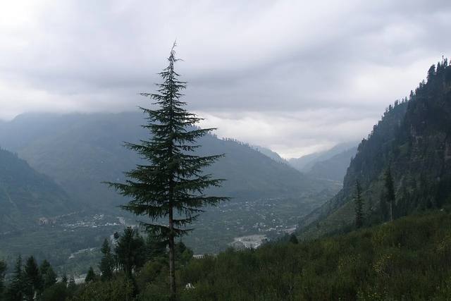 Manali with Naggar and Kullu | 5N/6D | Group travel experience